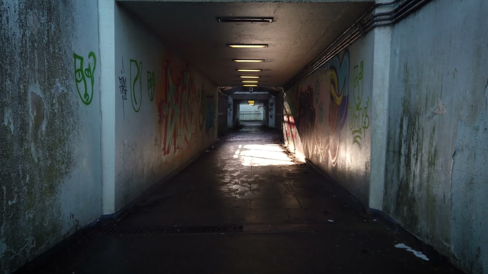 Screenshot from the home hero video